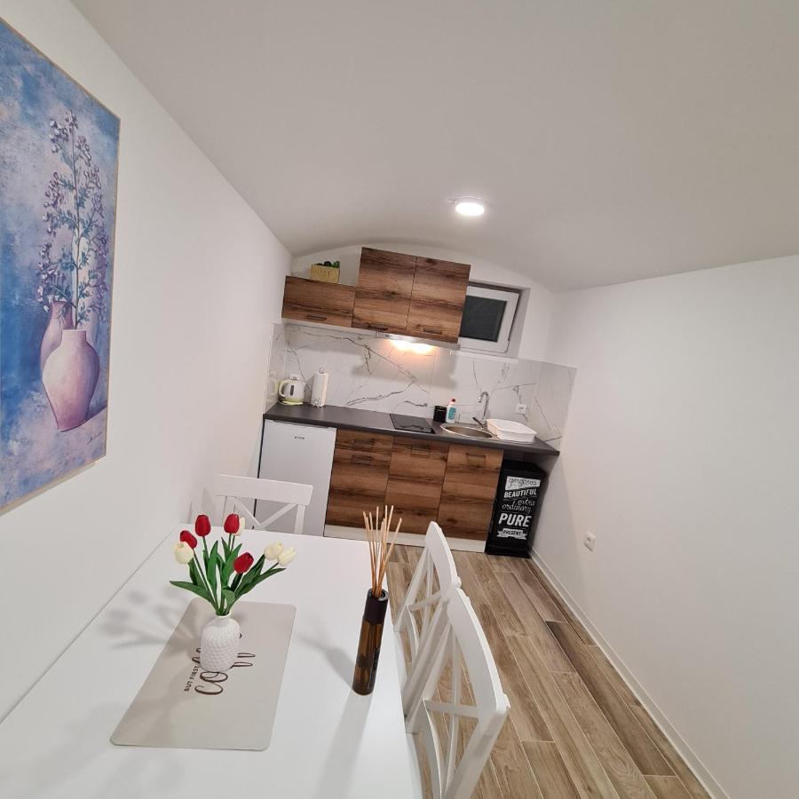 Apartment Dinlux Maribor Extérieur photo